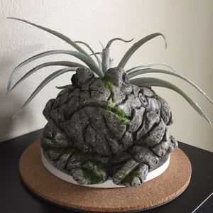 Meet your Posher, Diana